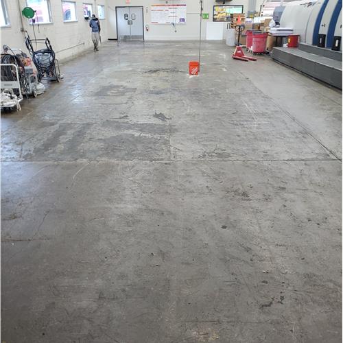 Enduracrete:concrete before service