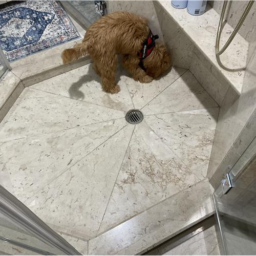 Marble before service