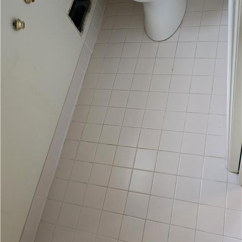 Ceramic (tile and grout) before service
