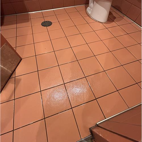 Ceramic (tile and grout) after service