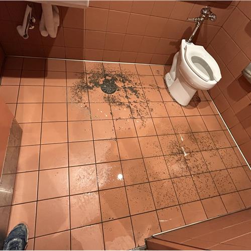 Ceramic (tile and grout) before service
